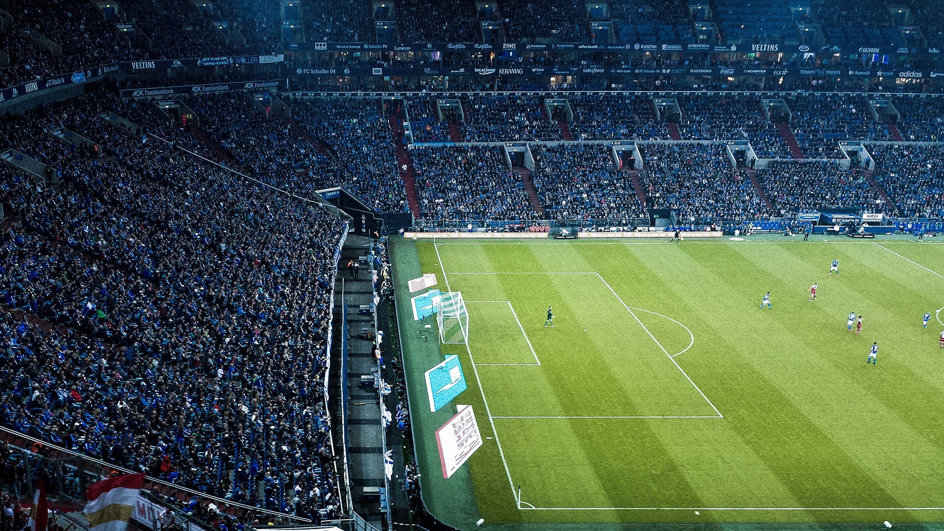 _雄鹿持续稳步提升，迎来佳绩_，雄鹿11